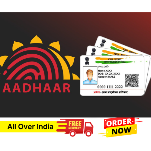 Aadhaar Update Assistance
