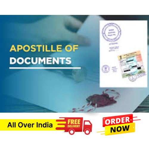 NRI & Apostille Services